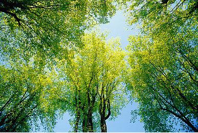 育碧内部邮件泄露：公司动荡 已处于破产边缘！